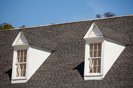 Professional roof cleaning